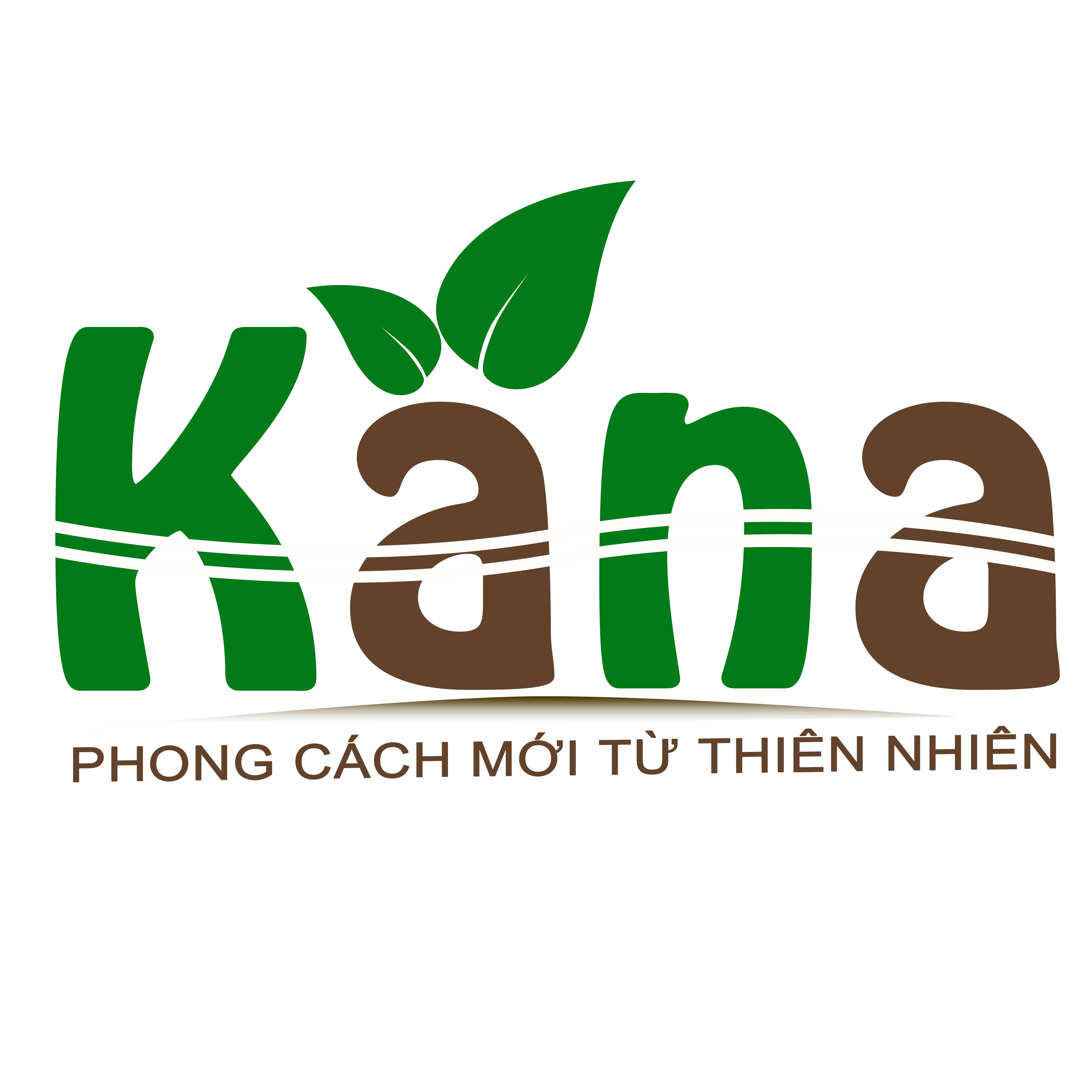 kanaimex.com